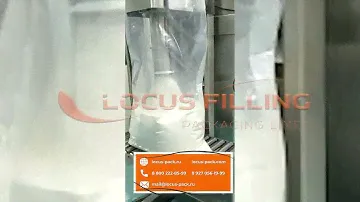 Весовой шнековый дозатор для фасовки в мешки порошкообразных продуктов LSF-30 с выходным конвейером