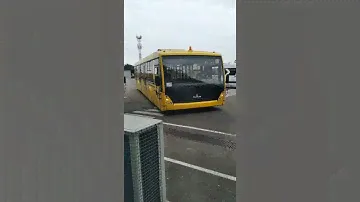 Что за странный желтый автобус?