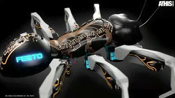 Festo BionicANTs