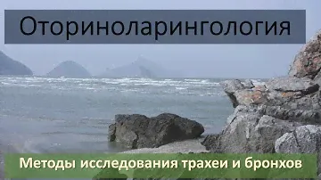 Методы исследования трахеи и бронхов