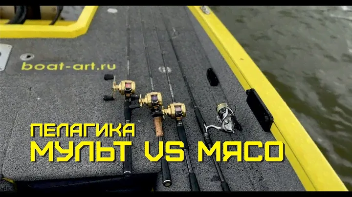 Мульт или мясо ? мой выбор катушки под рыбалку с panoptix